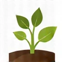 Icono de una planta que representa ingredientes 100% naturales